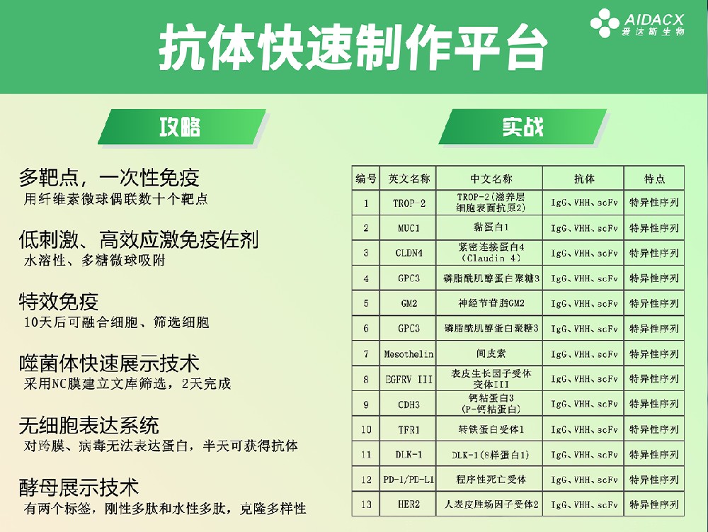 抗体快速制作平台